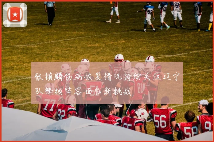 张镇麟伤病恢复情况持续关注辽宁队锋线阵容面临新挑战
