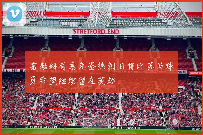 富勒姆有意免签热刺旧将比苏马球员希望继续留在英超